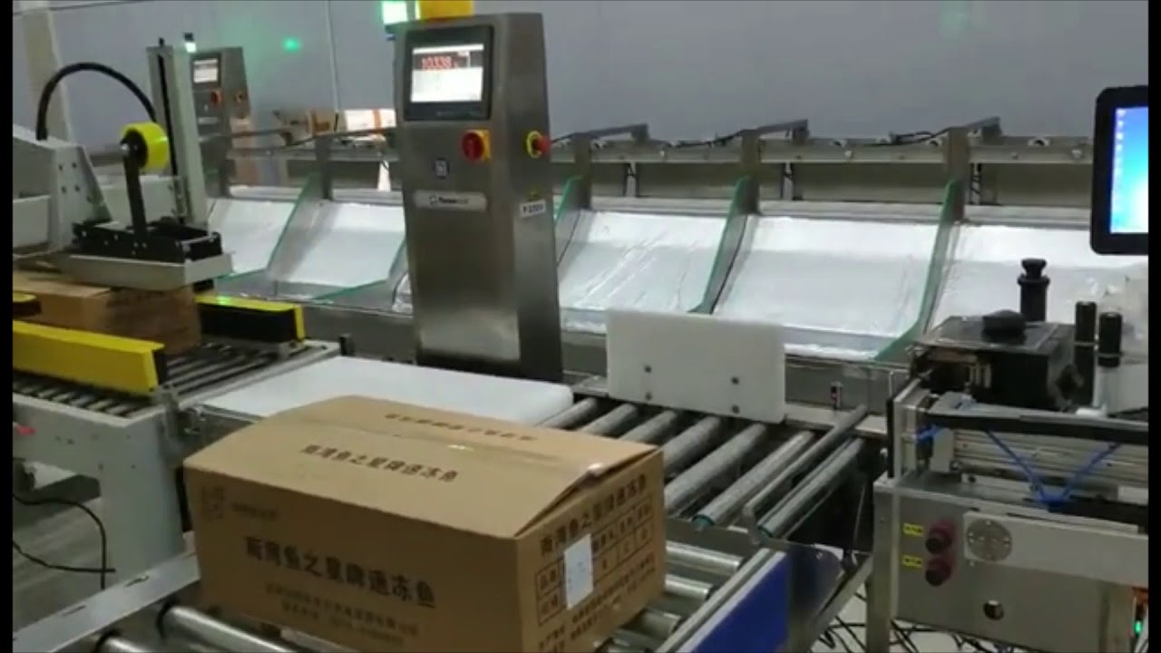 Karton /Periksa Mesin Pencetakan / Pelabelan Online Weigher /SICIAUTO