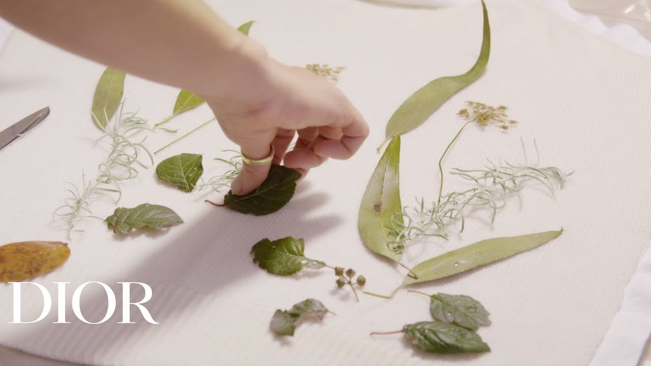 Eco-Printing Savoir-Faire di Dior Spring-Summer 2020 Show